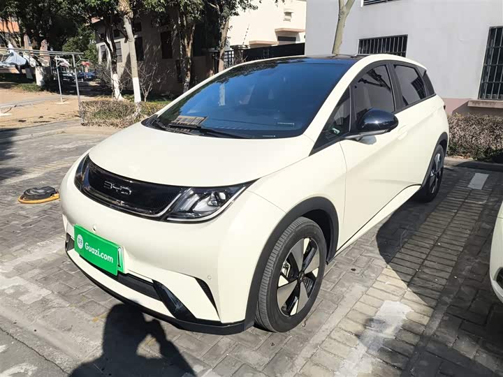 Фото 2 - BYD Dolphin