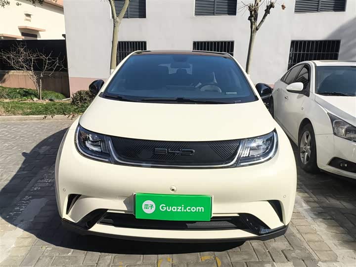 Фото 3 - BYD Dolphin