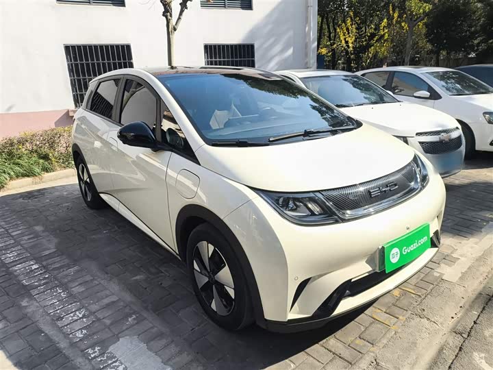 Фото 4 - BYD Dolphin