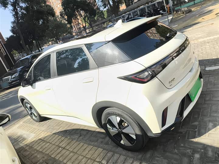 Фото 5 - BYD Dolphin