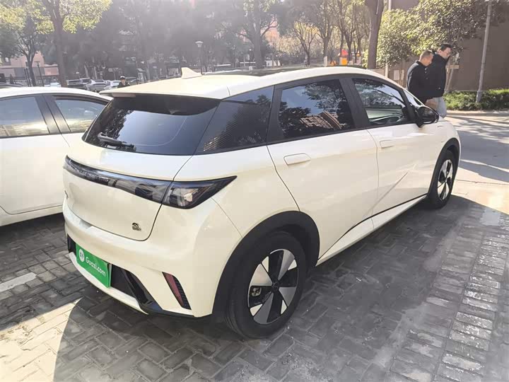 Фото 7 - BYD Dolphin