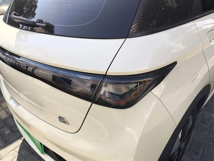 Фото 8 - BYD Dolphin