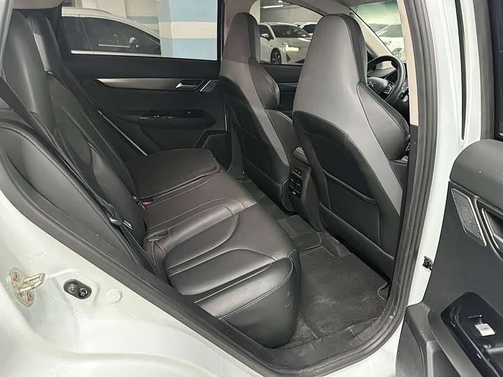 Фото 16 - XPeng G3