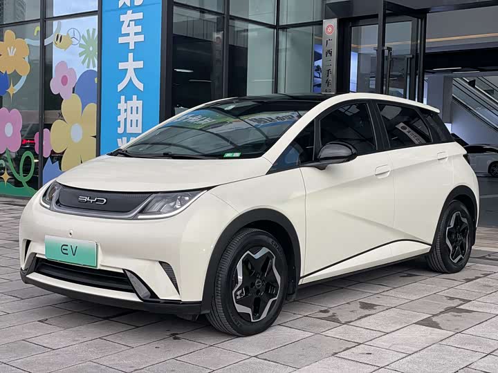 Фото 1 - BYD Dolphin