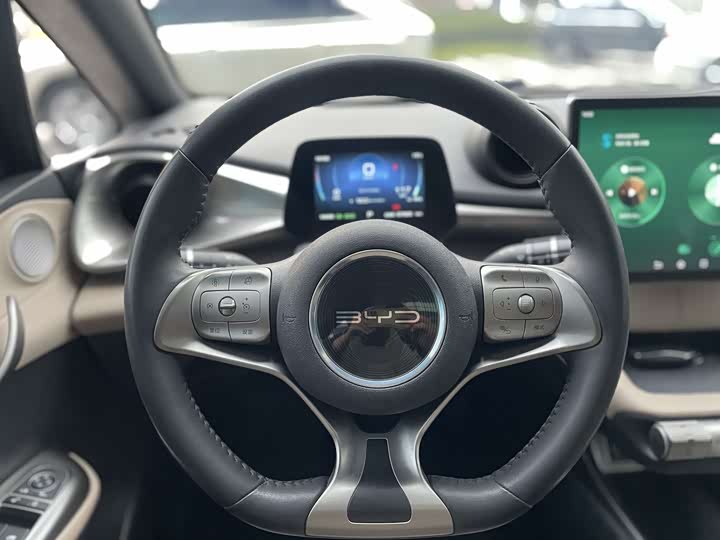 Фото 12 - BYD Dolphin