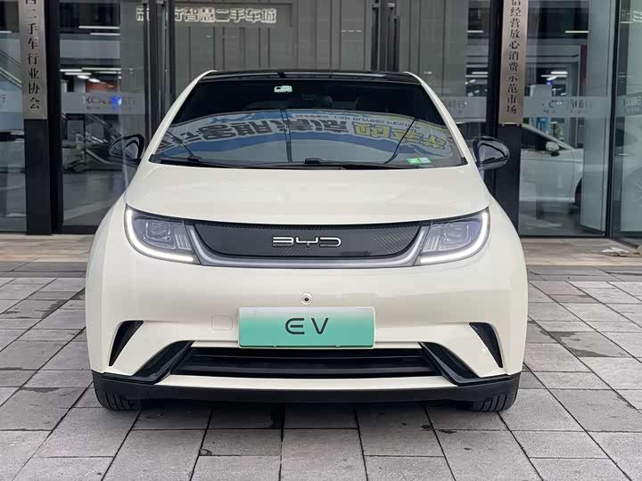 Фото 2 - BYD Dolphin