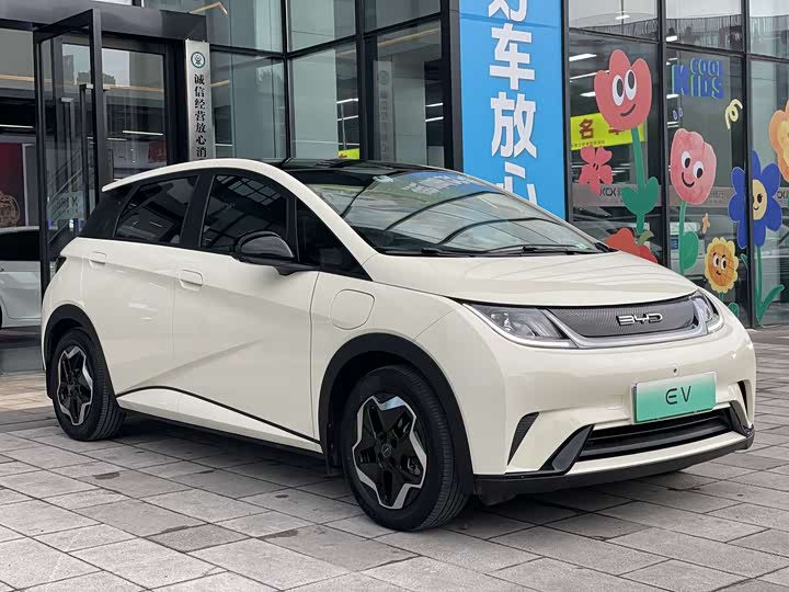 Фото 4 - BYD Dolphin