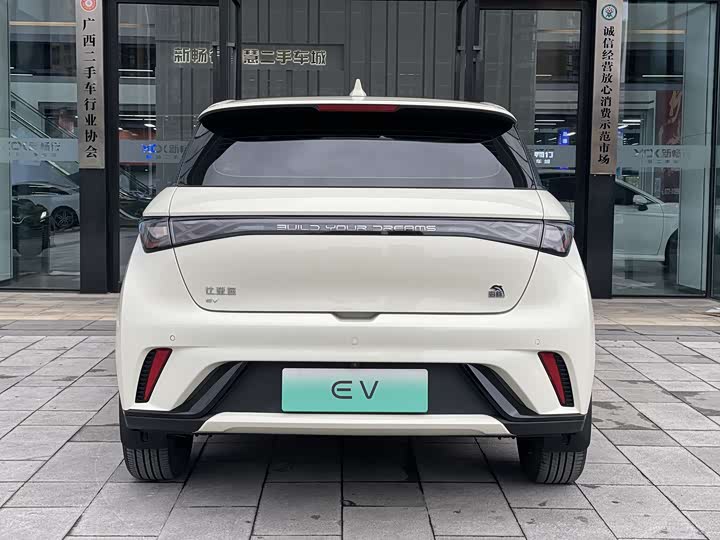 Фото 5 - BYD Dolphin