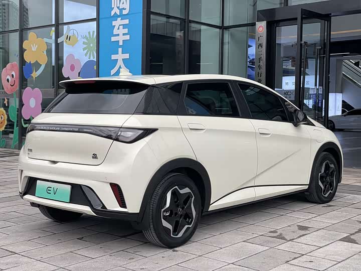 Фото 6 - BYD Dolphin