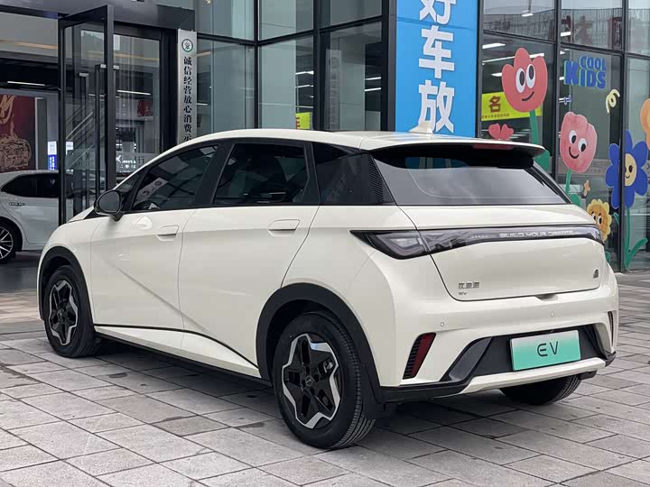 Фото 7 - BYD Dolphin