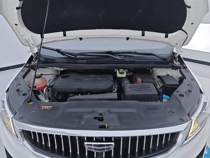 Фото 10 - Geely Jiaji