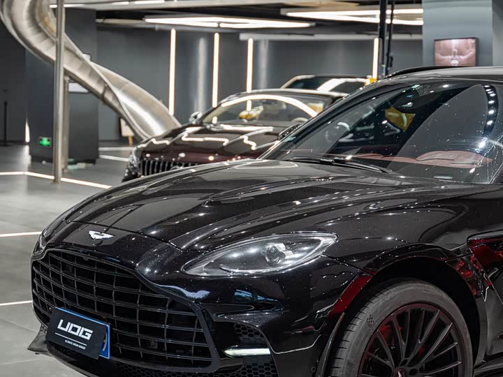 Фото 12 - Aston Martin DBX