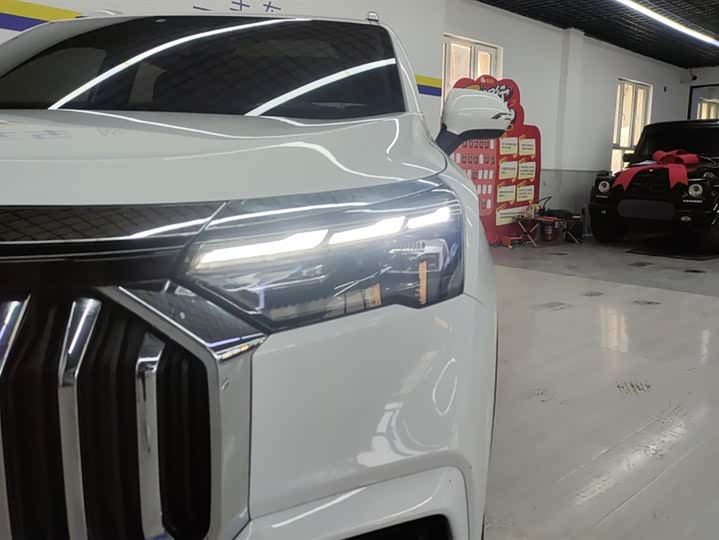 Фото 5 - Geely Okavango L