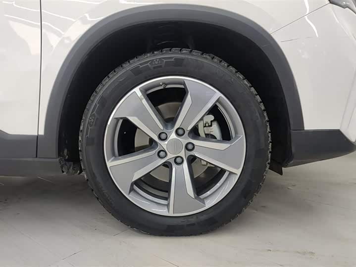 Фото 6 - Geely Okavango L