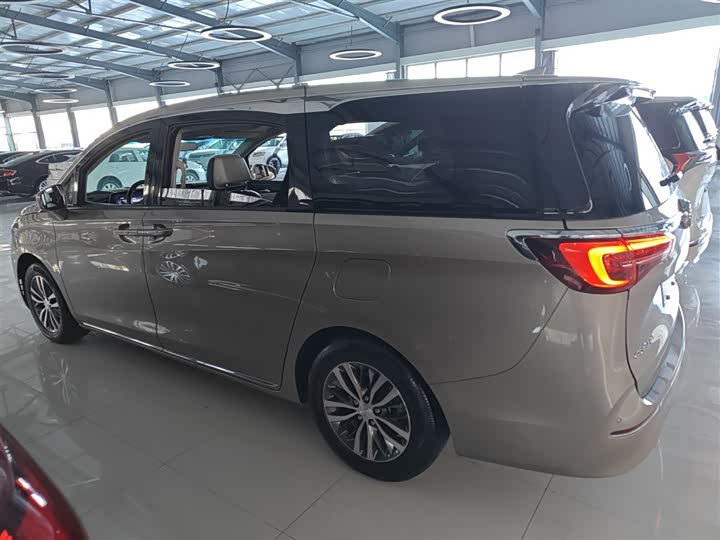 Фото 5 - Buick GL8 ES