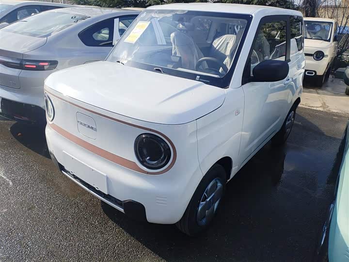 Фото 2 - Geely Galaxy Panda Mini