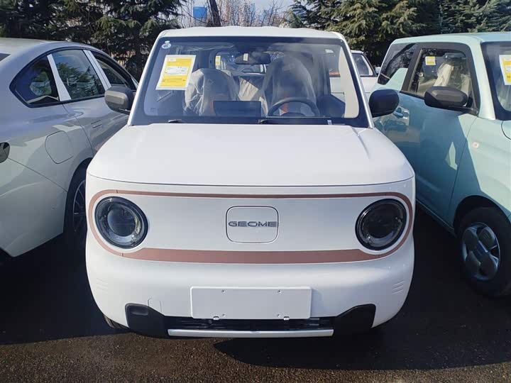 Фото 3 - Geely Galaxy Panda Mini