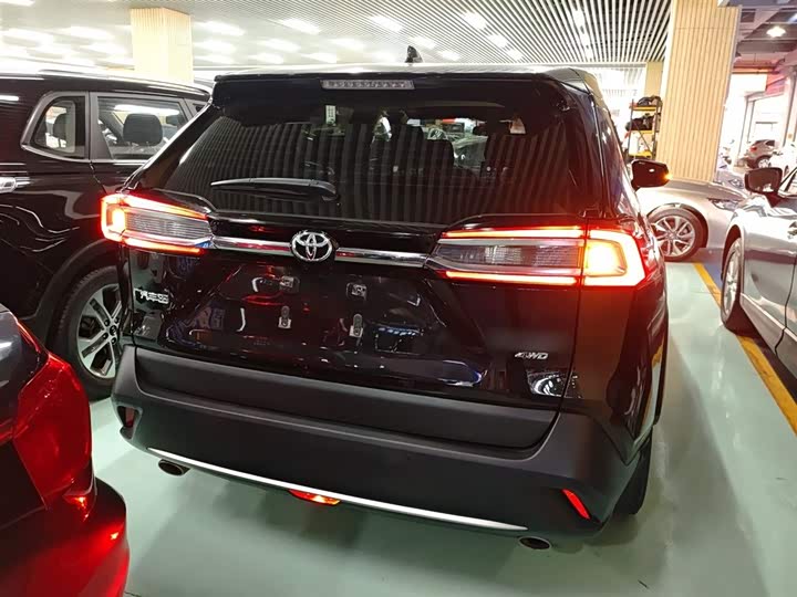 Фото 6 - Toyota Wildlander