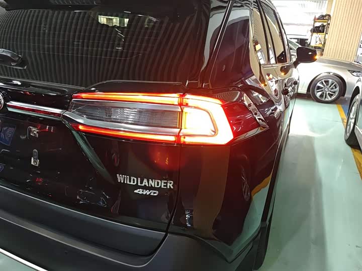 Фото 8 - Toyota Wildlander