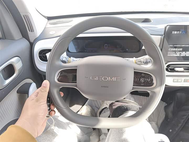 Фото 11 - Geely Galaxy Panda Mini