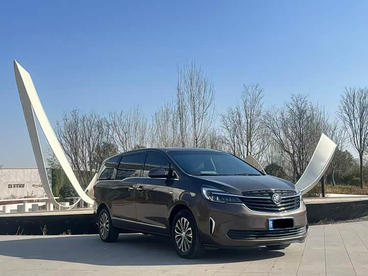 Фото 3 - Buick GL8 ES