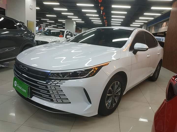 Фото 2 - BYD Destroyer 05