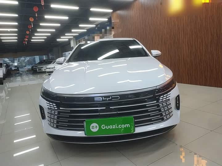 Фото 3 - BYD Destroyer 05