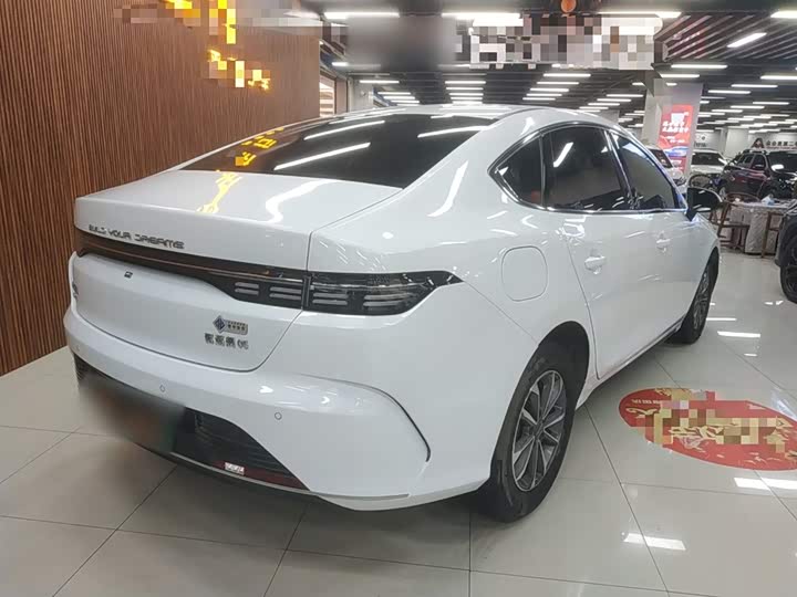 Фото 7 - BYD Destroyer 05