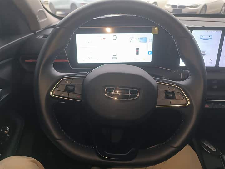 Фото 10 - Geely Binrui