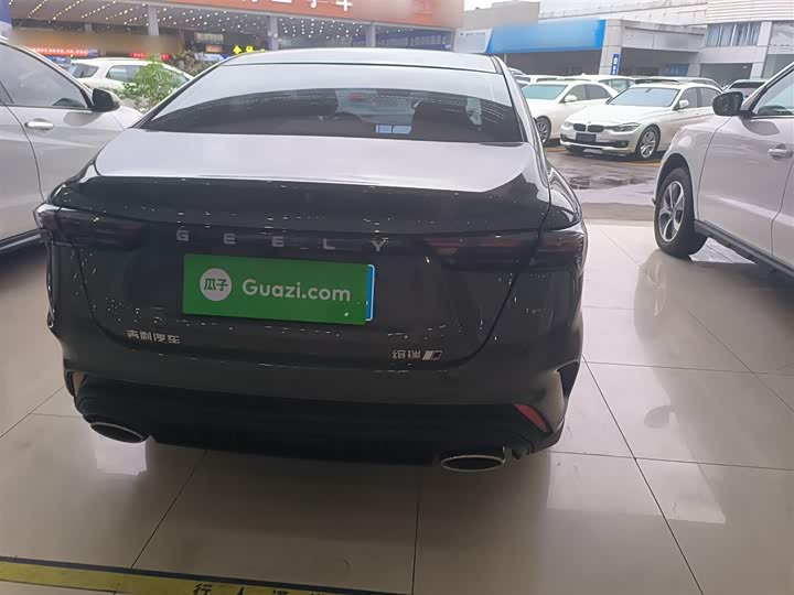 Фото 6 - Geely Binrui