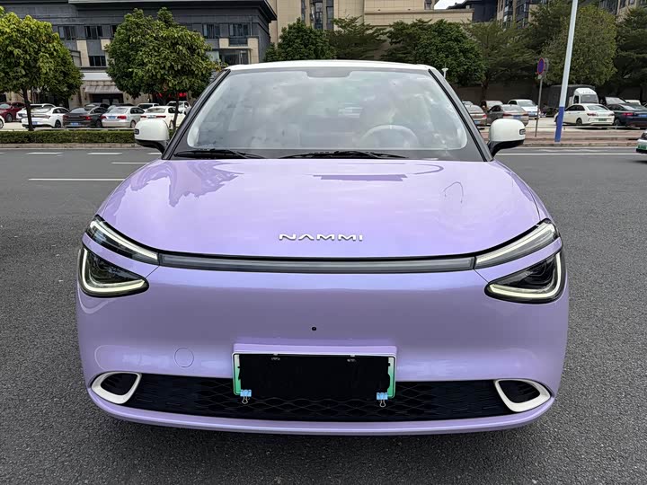 Фото 2 - Dongfeng Nammi 01