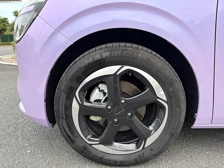 Фото 3 - Dongfeng Nammi 01