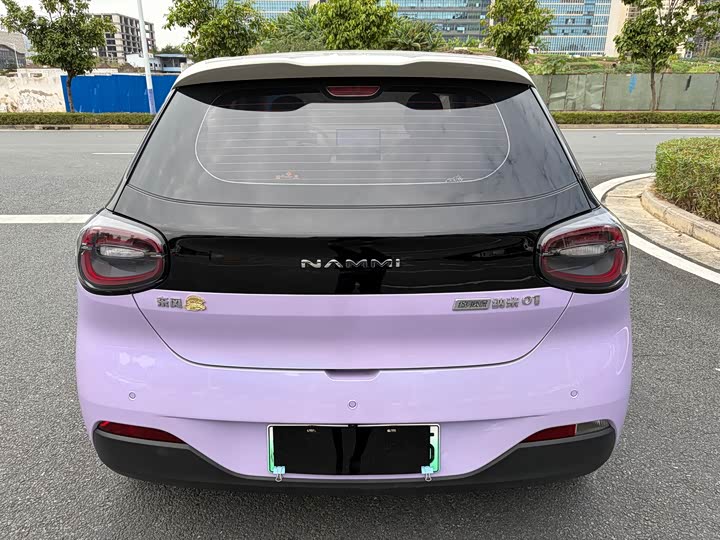 Фото 6 - Dongfeng Nammi 01