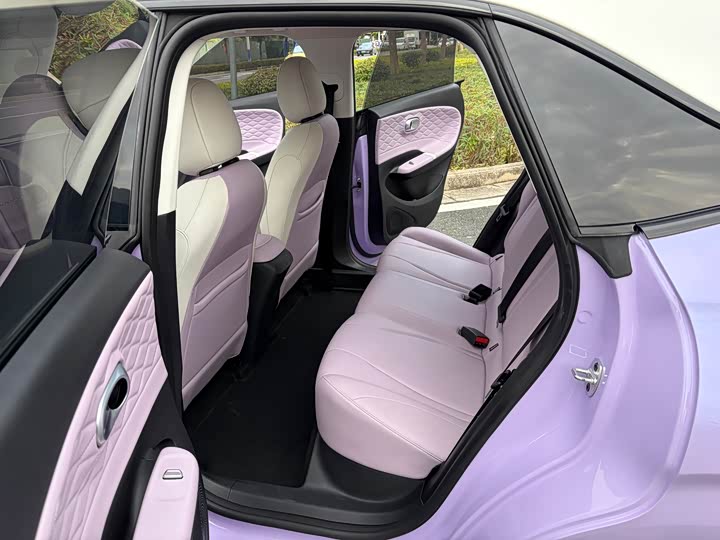 Фото 9 - Dongfeng Nammi 01