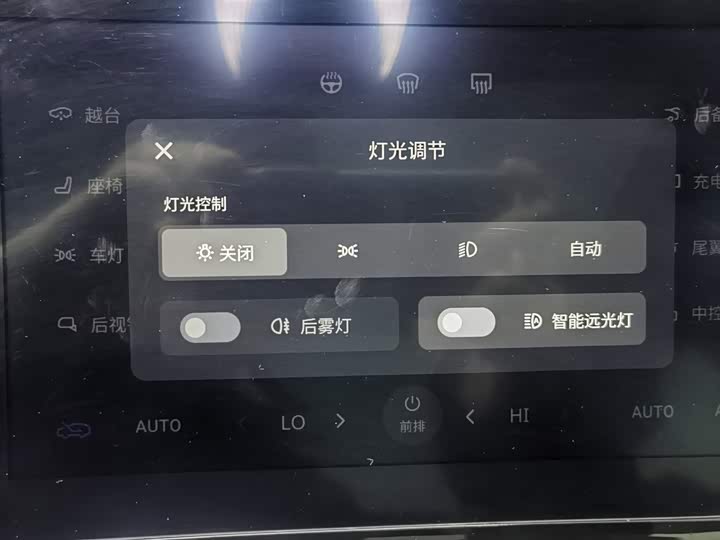 Фото 21 - Voyah Passion