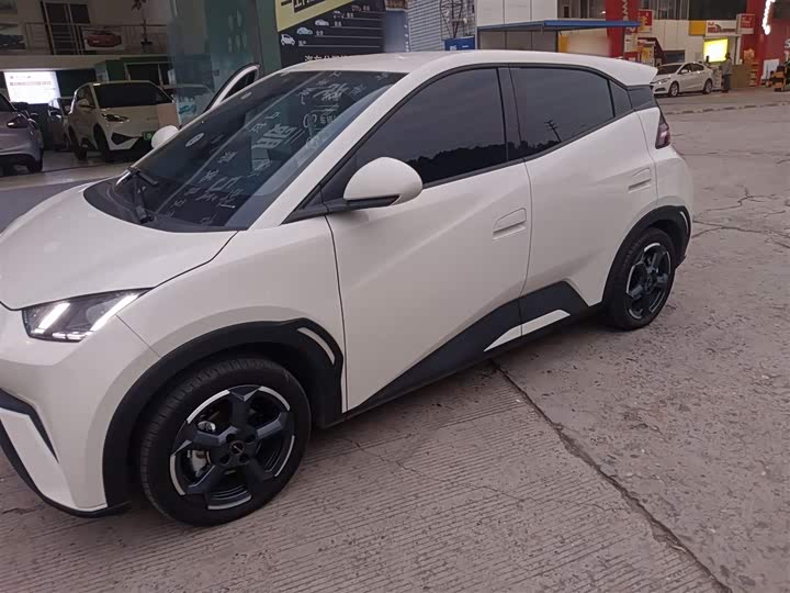 Фото 1 - BYD Seagull