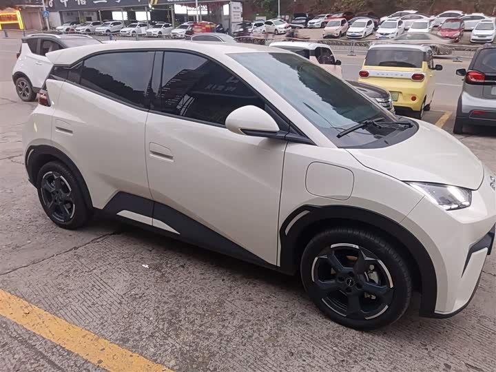 Фото 4 - BYD Seagull