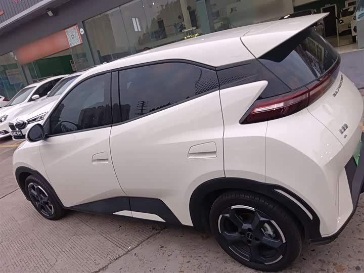 Фото 5 - BYD Seagull