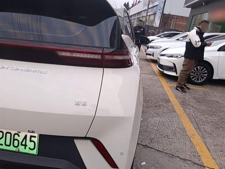 Фото 8 - BYD Seagull