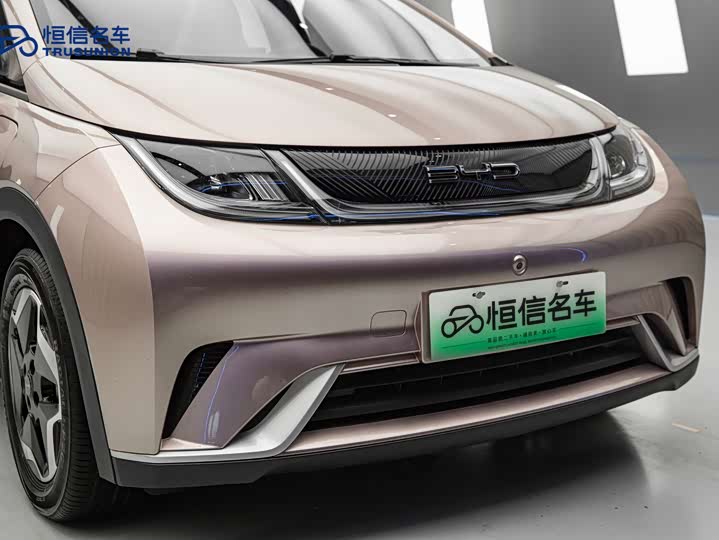 Фото 2 - BYD Dolphin