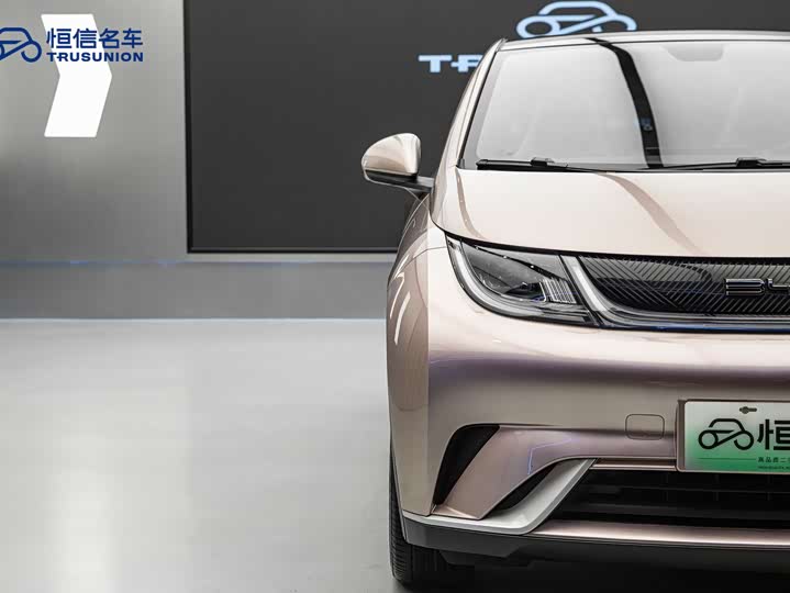 Фото 4 - BYD Dolphin