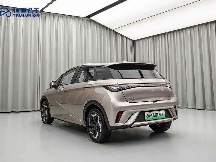 Фото 5 - BYD Dolphin