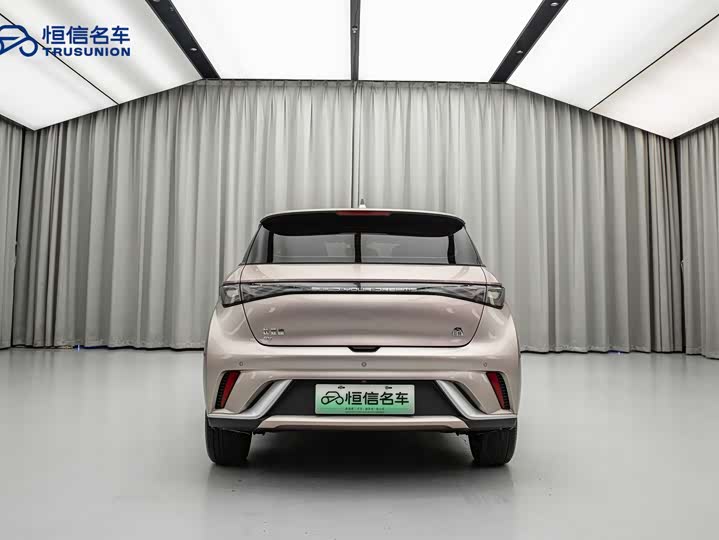 Фото 7 - BYD Dolphin