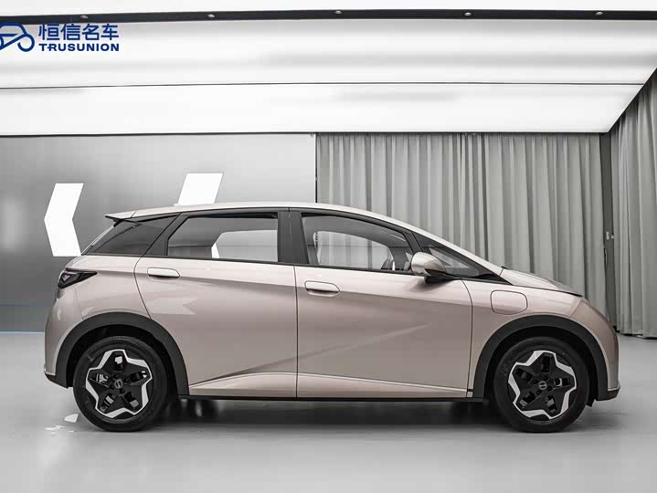 Фото 8 - BYD Dolphin