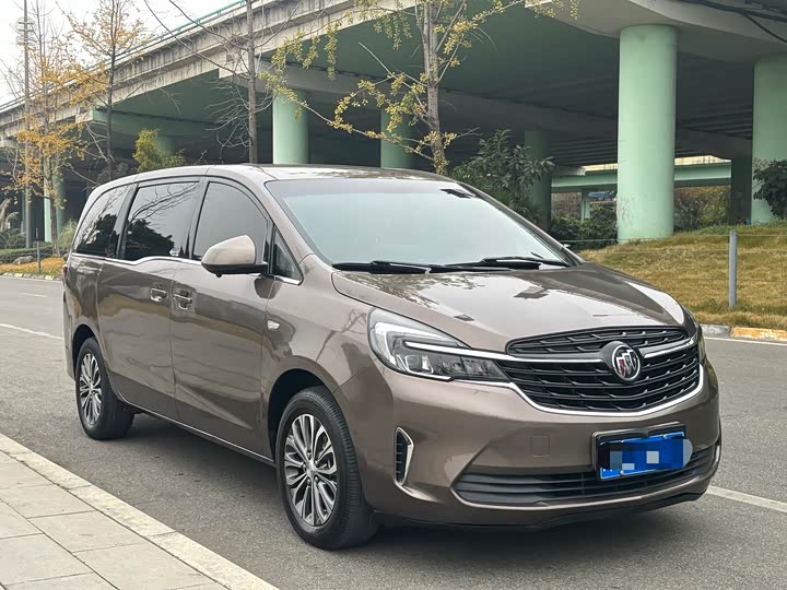 Фото 3 - Buick GL8 ES