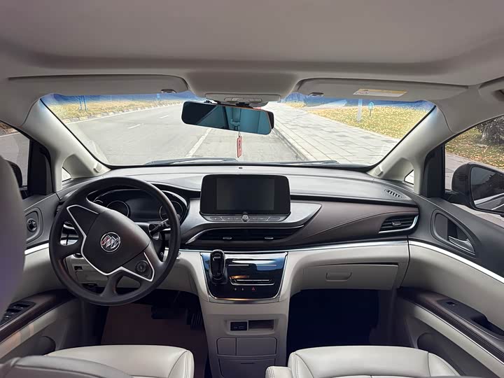 Фото 5 - Buick GL8 ES