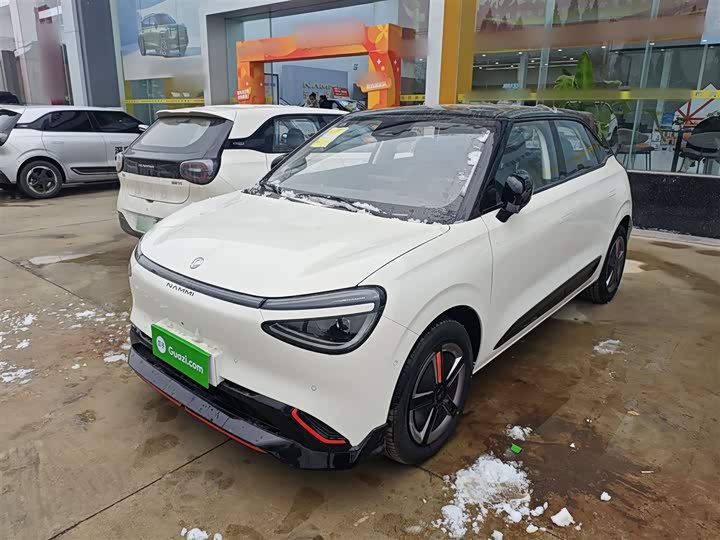 Фото 2 - Dongfeng Nammi 01