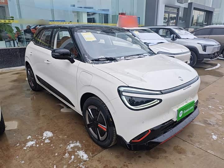 Фото 4 - Dongfeng Nammi 01