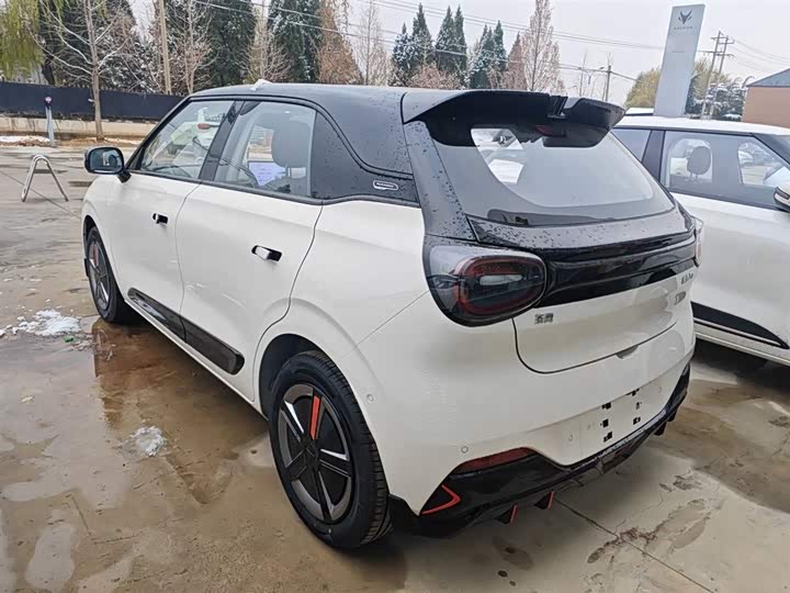 Фото 5 - Dongfeng Nammi 01