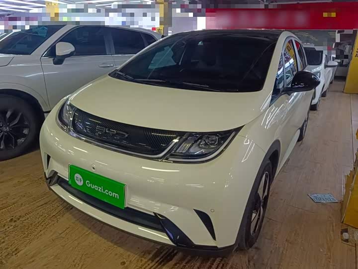 Фото 1 - BYD Dolphin